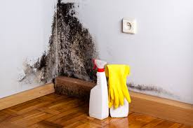 Country Knolls, NY Mold Inspection Company